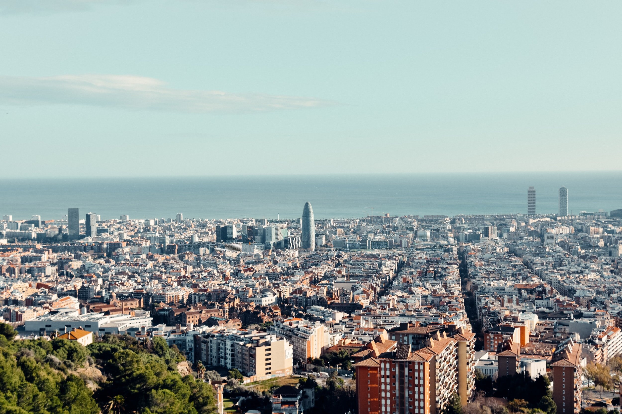 Go Simple and Pre-Train on Domain-Specific Corpora: On the Role of Training Data for Text Classification, Barcelona