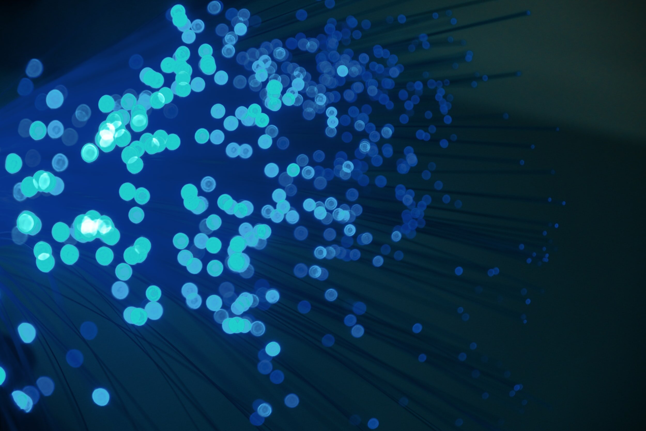 CSRI Wins £450k Sêr Cymru Research Award To Tackle Security Challenges in the Digital Information Environment