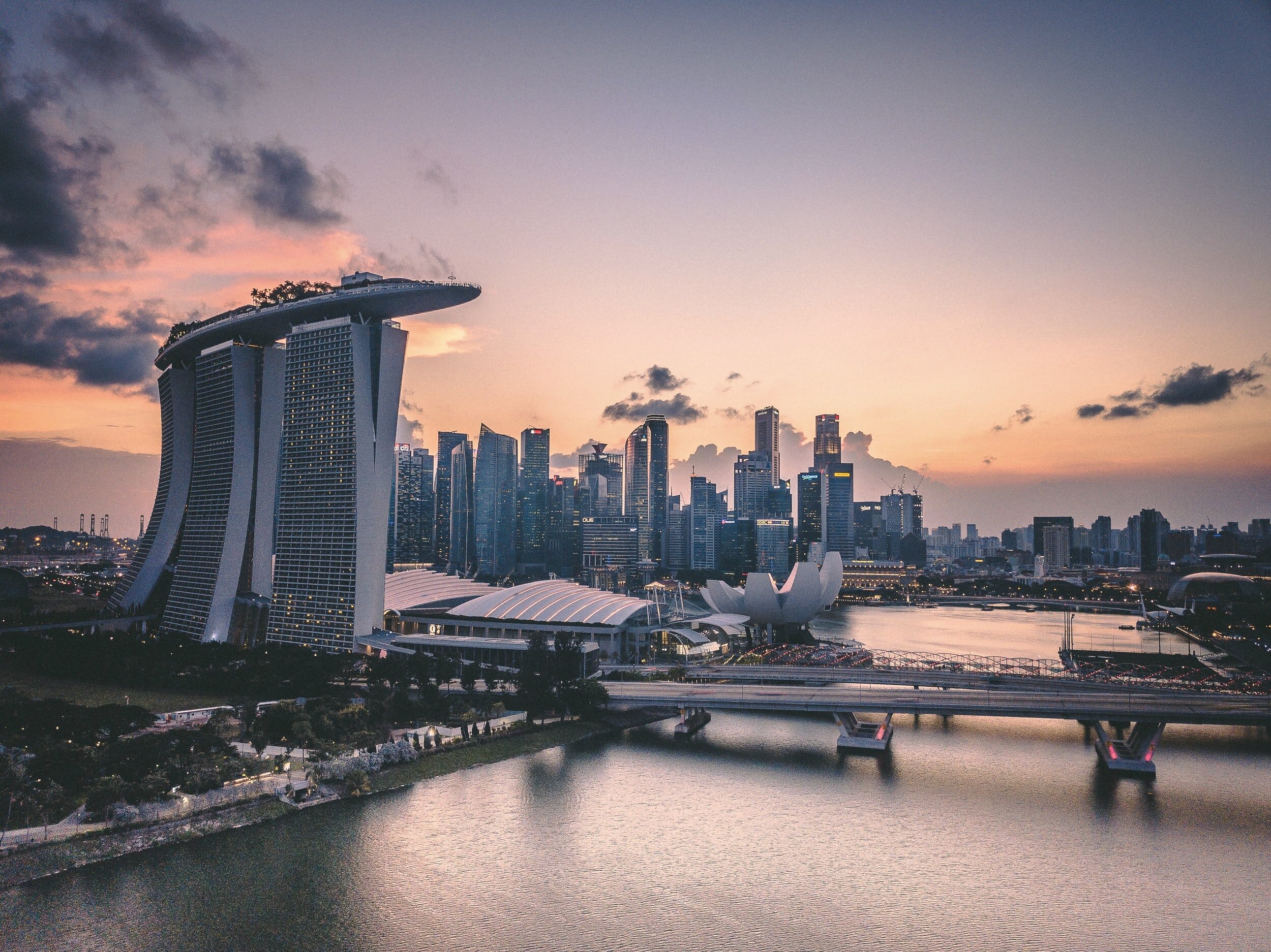 Deriving Disinformation Insights from Geolocalized Twitter Callouts, Singapore